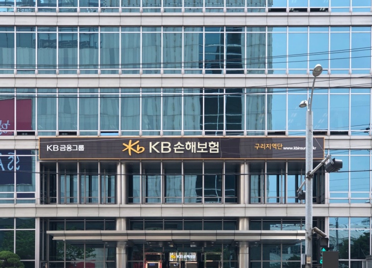 kb손보-구리.jpg